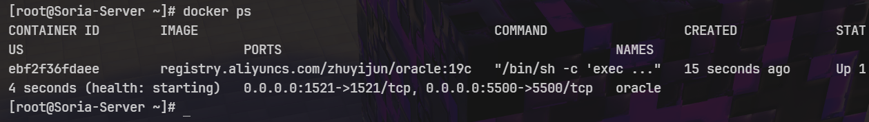 查看是否安装成功